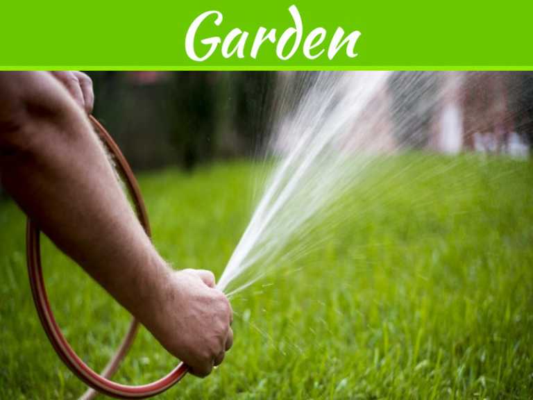 How To Keep Your Lawn Looking Great All Year