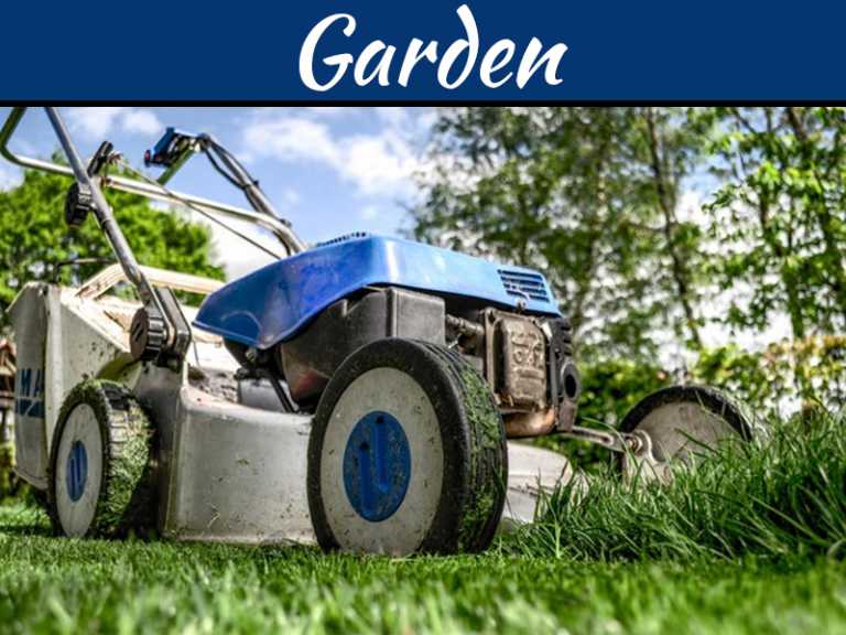 The Top 5 Pruning Tips And Tricks