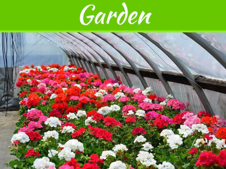 Easy Ways to Keep Your Garden Nursery Health