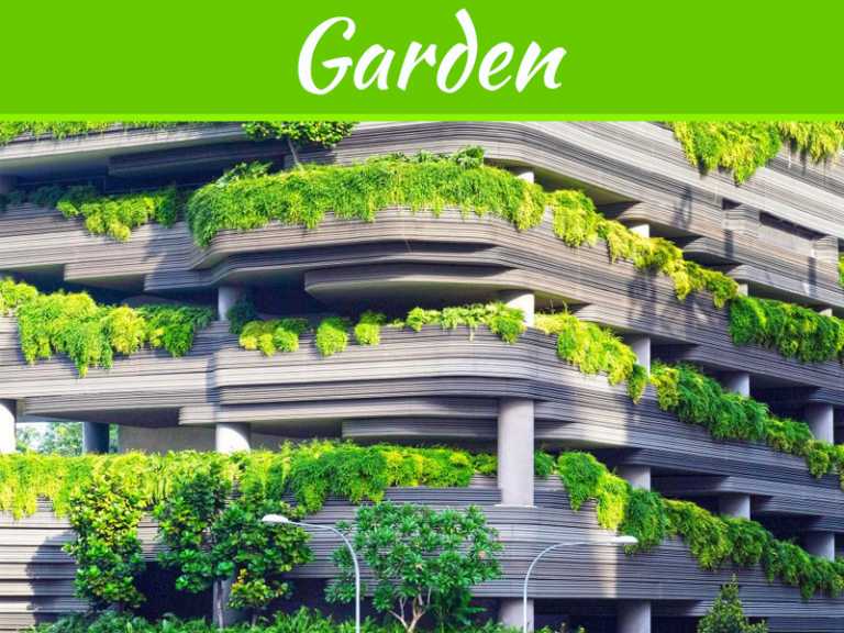 Rooftop Gardens - Amazing Benefits And Tips To Create One