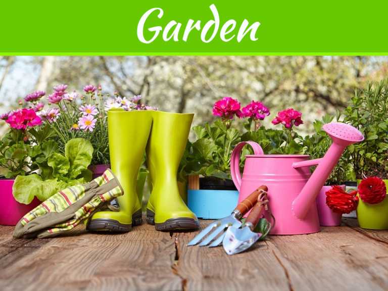 Tools That A Professional Gardener Will Require