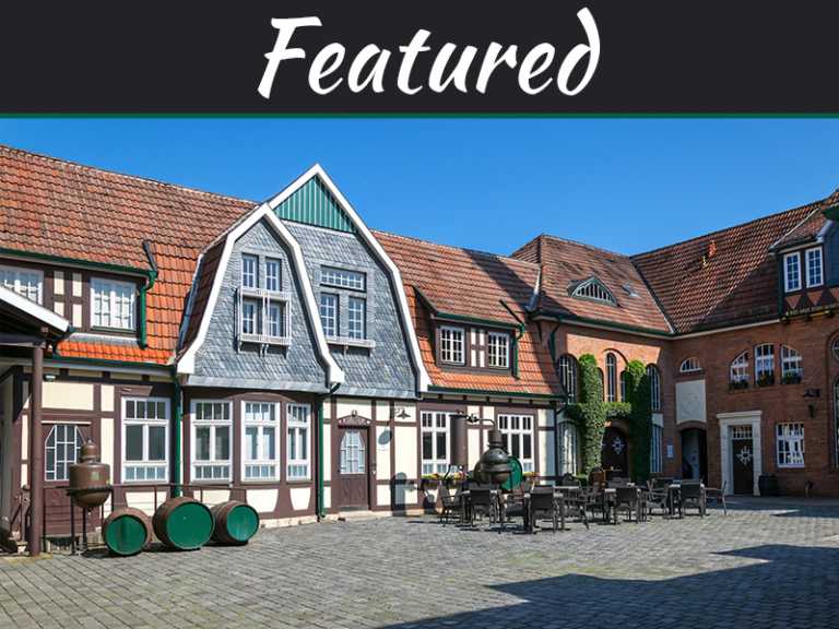 5 Types Of Best Online Jobs You Can Do From Home