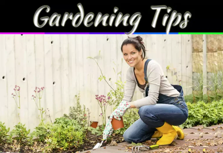 9 Gardening Tips For Beginners