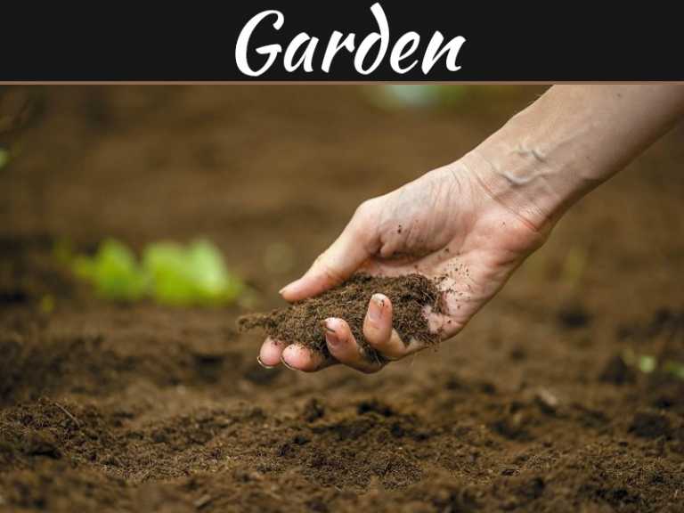 Free Non-toxic & Effective Soil Amendments from Rubbish Removal