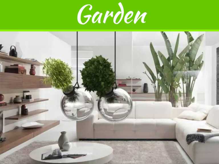 The Best Pots For Houseplants