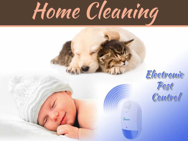 Top 5 Effective Electronic Pest Control Ideas