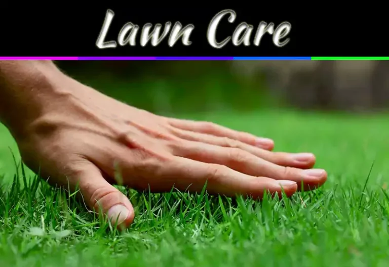 Lawn Care Advice: 5 Trusted Websites For Expert Guidance