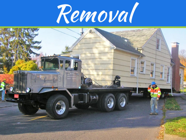 4 Reasons To Hire A Removal Company For Your Next Move