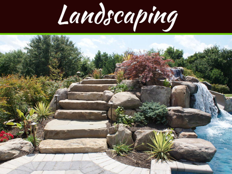 5 Backyard Renovations To Compliment Your Landscape