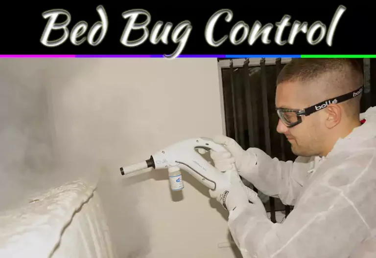 Bed Bug Control Tips: 7 Proven Ways To Eliminate Infestations At Home