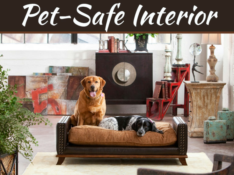 Home Interior Design Tips For Making Your Home Pet-Safe