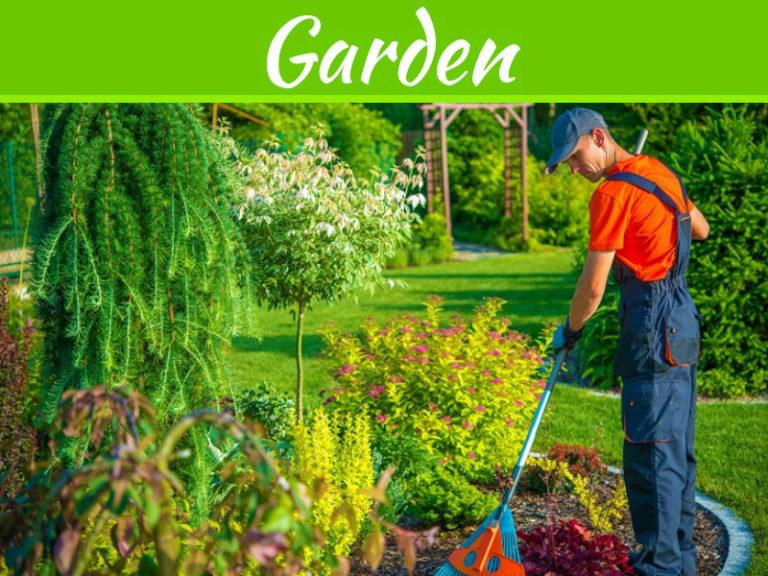 Tips To Keep Your Garden Healthy