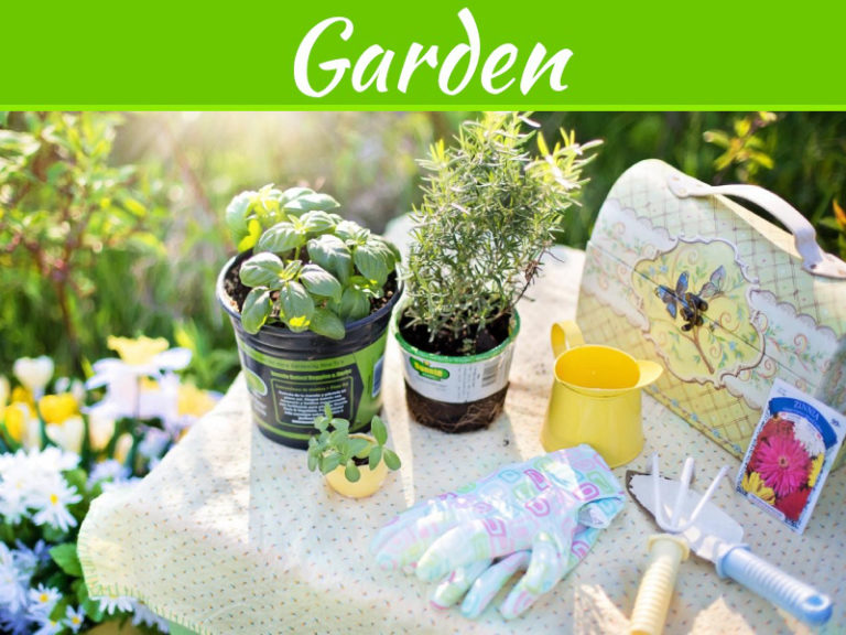 How To Prepare The Soil For Gardening