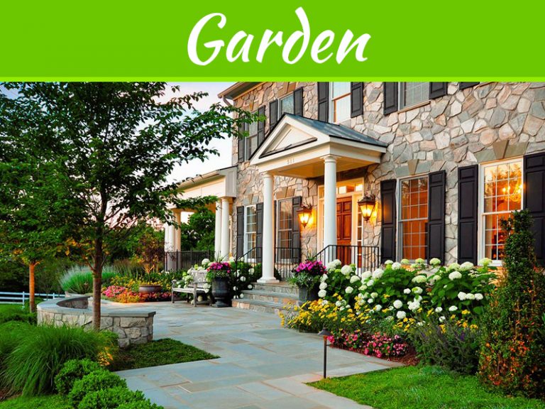 5 Landscaping Projects That Can Maximize Your Curb Appeal