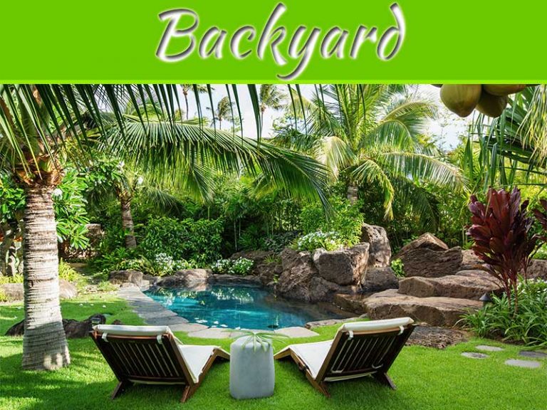 Backyard Decoration Ideas For Garden This Summer