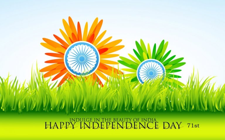 Corporate Office Decoration Ideas On Independence Day
