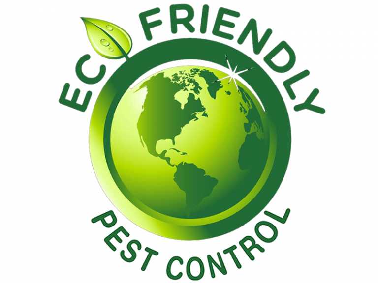 A Revolutionary Way To Rid Yourself Of Bed Bugs