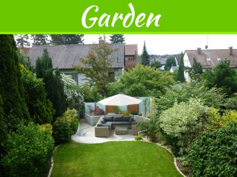 How To Have The Best Looking Yard On The Block