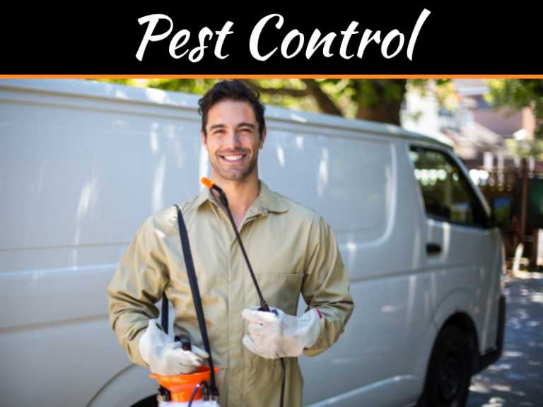 Retaining Reputation - How Commercial Pest Control Can Reduce Risk To Your Business