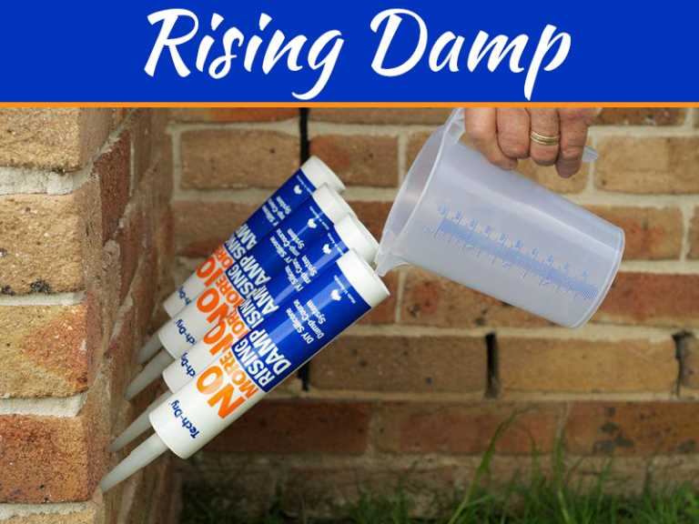 Rising Damp Could Be Secretly Ruining Your Home - Here’s How