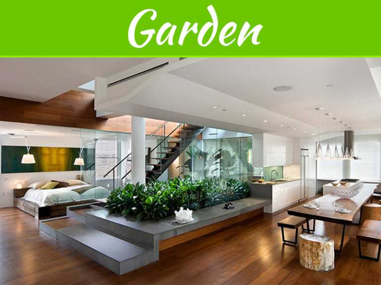 How To Start Your Indoor Garden