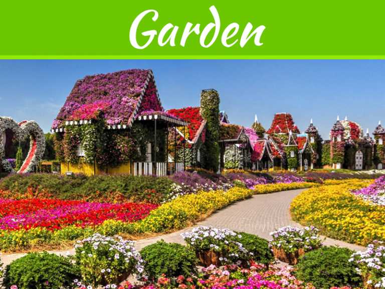 7 Clever Ideas To Make Your Garden Look Great