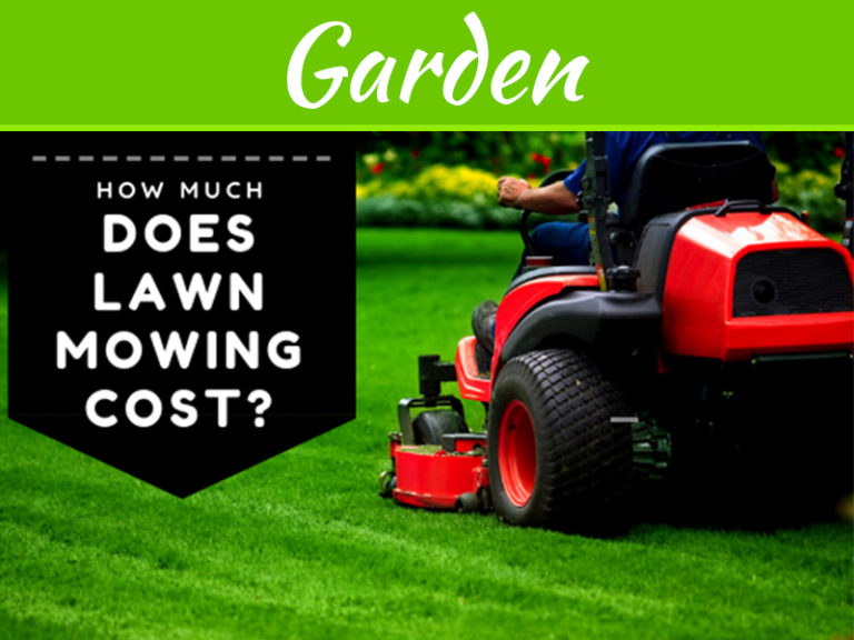 How Much Does Lawn Mowing Cost?
