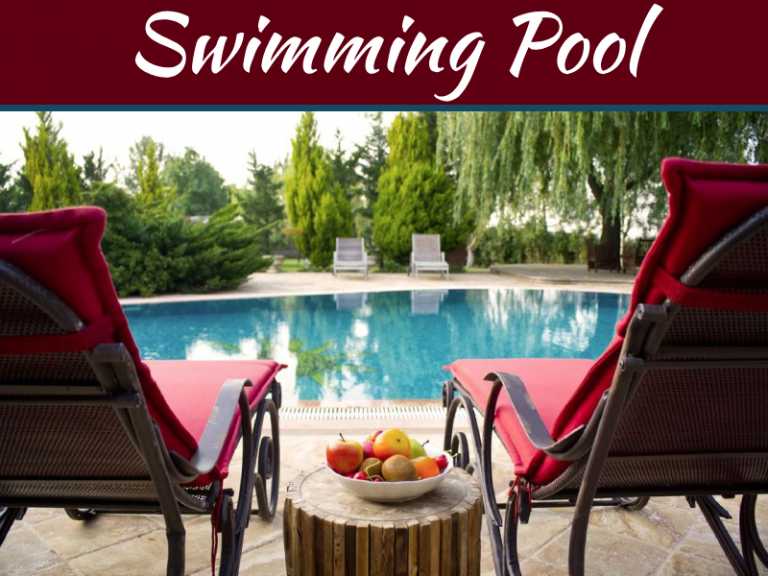 How Pro Homeowners Accent Their Pool In The Backyard