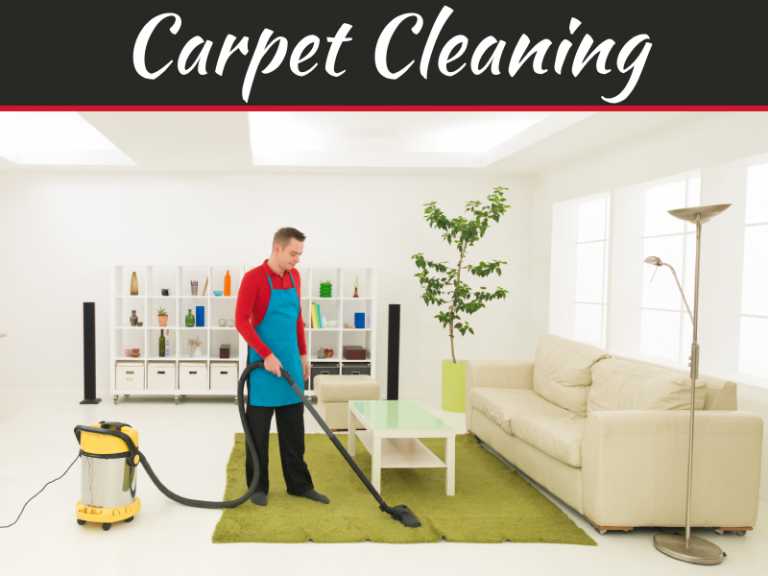 Carpet Cleaning 101 – Keeping Carpets Clean When Living With Kids