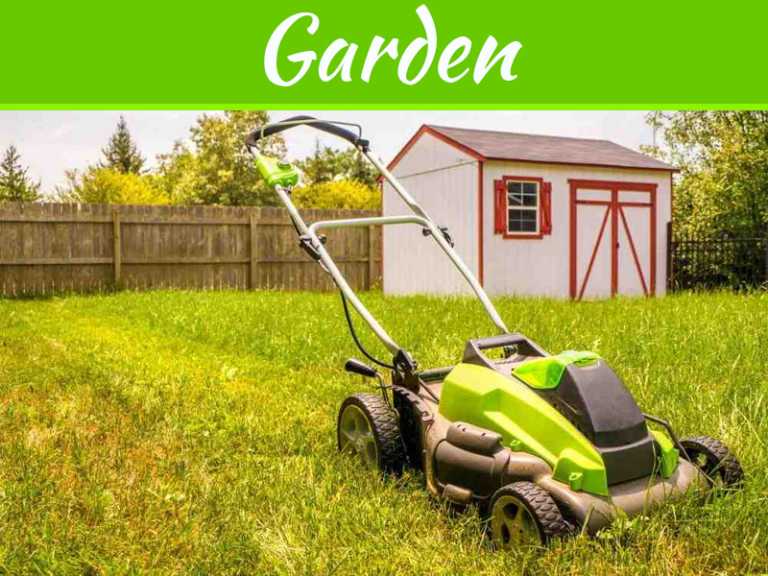 5 Must-Have Gadgets For Your Garden In 2019