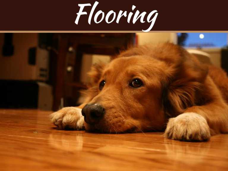 Fantastic Flooring: How To Make Your Home Sparkle And Shine