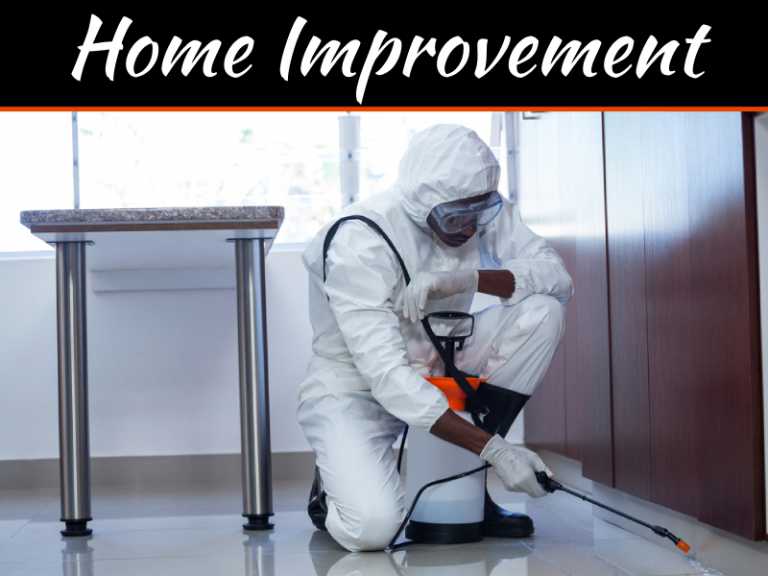 Impressive Facts About Mosquitoes Life Cycle