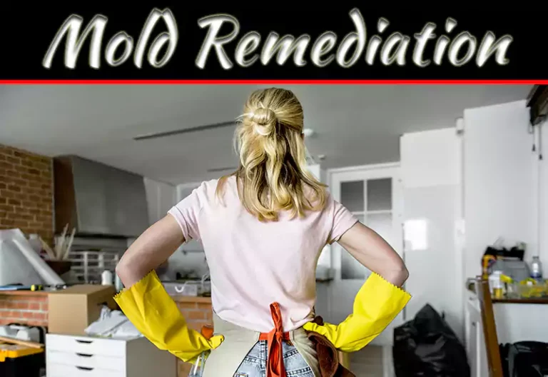 Mold Remediation: When To Hire A Professional Company