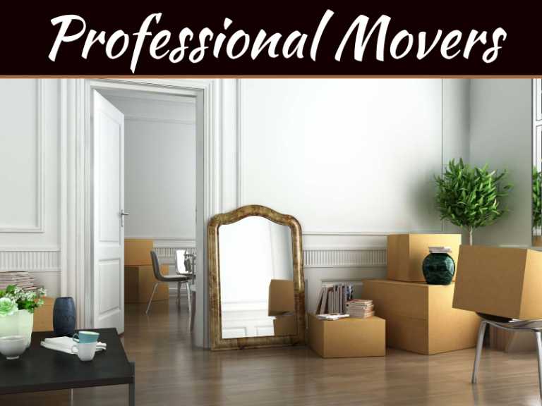 Professional Movers Provide The Best Process For The Best Results