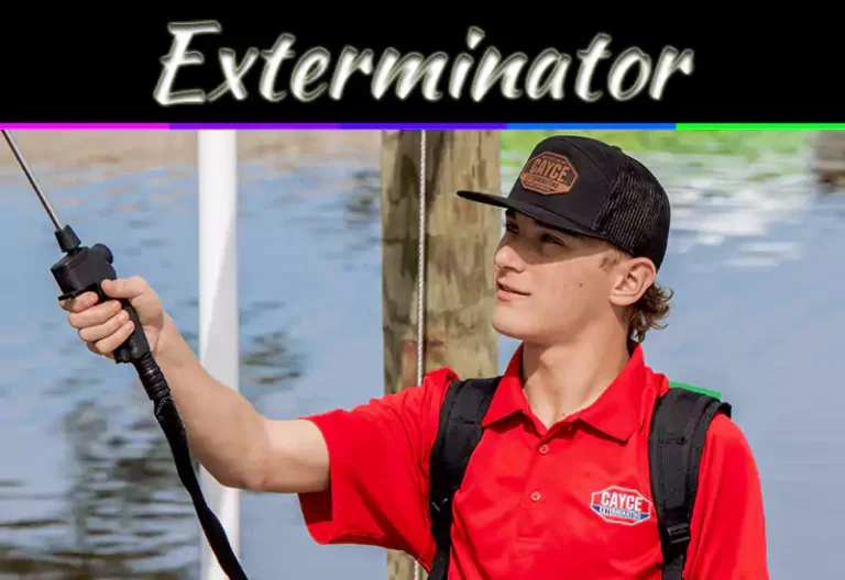 Exterminator Hiring Guide: How To Pick A Trusted Pest Control Pro