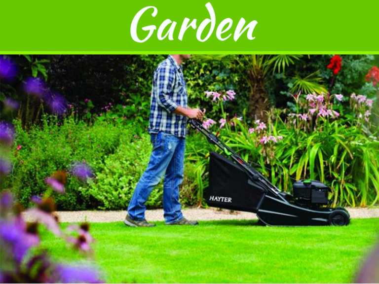 How To Maintain A Healthy Lawn In Hot Weather