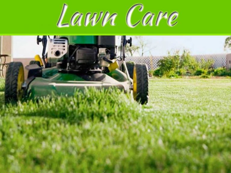 Why Lawn Care Is So Important To The Way Your Home Looks