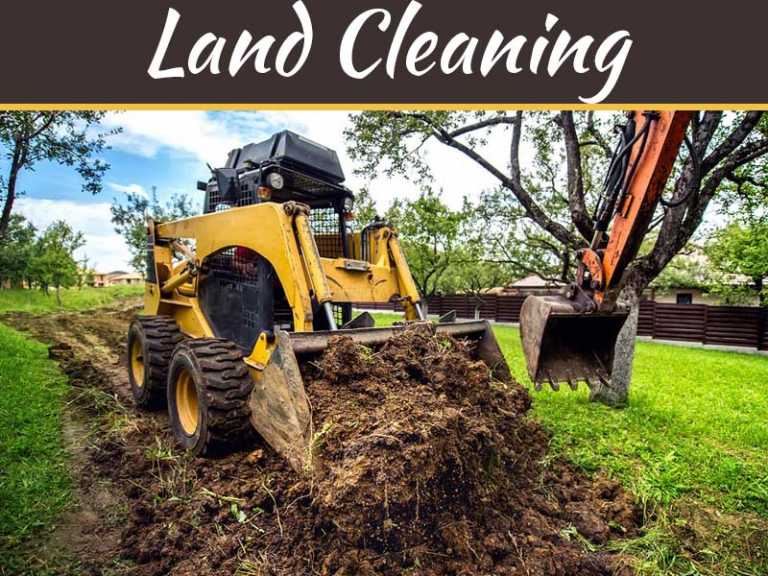 Clearing Land, Reducing Hassle: Seven Reasons To Hire A Professional Land Clearer
