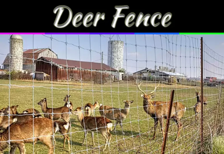 Deer Fence Solutions That Actually Protect Your Garden And Yard