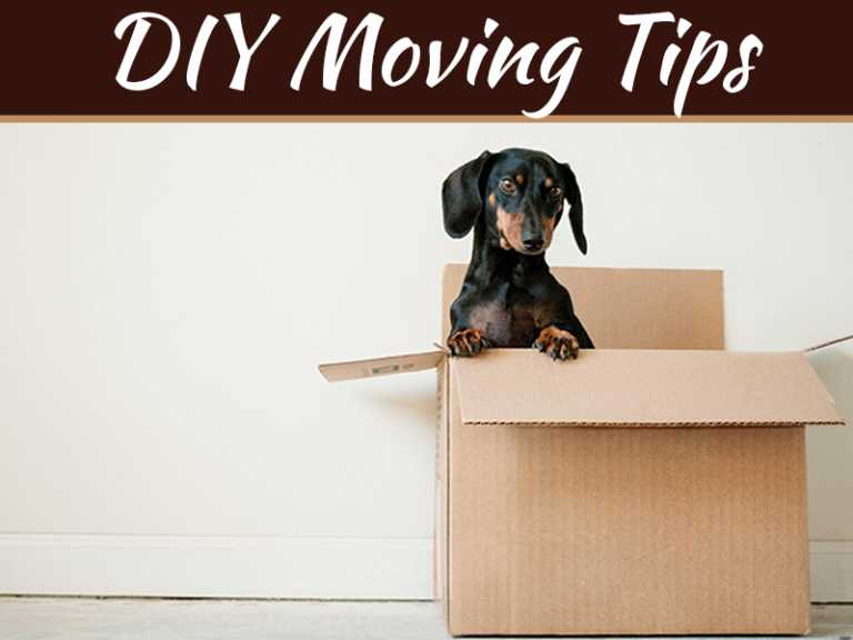 How To Do A DIY Move Without Breaking All Of Your Stuff