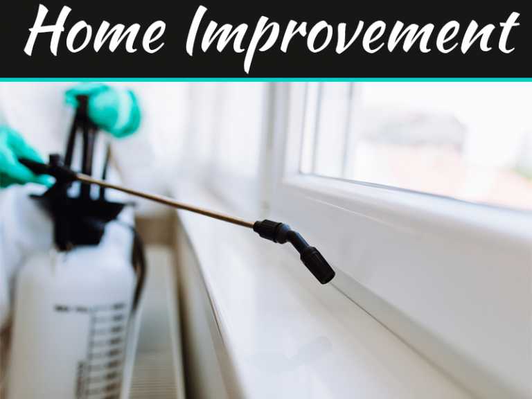 They Don’t Allow Bed Bug Bites in Blythewood