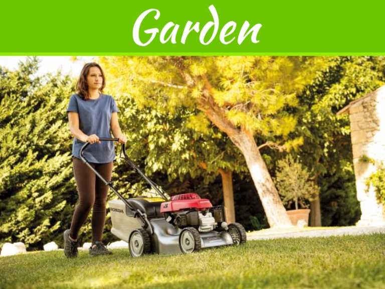 Tips For Landscaping On A Budget