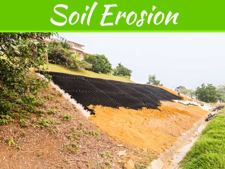 Soil Erosion Control Methods Listed By Erosion Control Officer