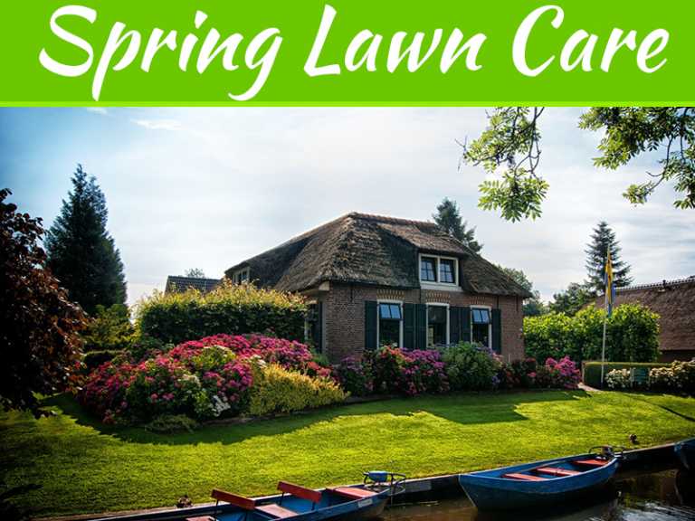 Spring Lawn Care – A Schedule That Works