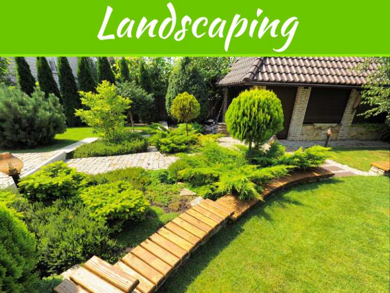 5 Reasons Why Your Yard Needs Landscaping