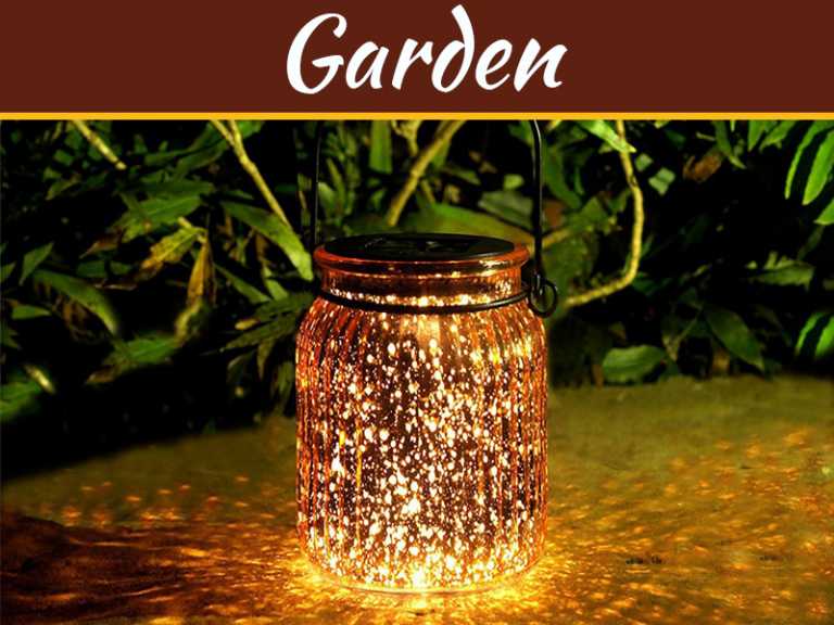 How To Incorporate Light And Colour Into Your Garden