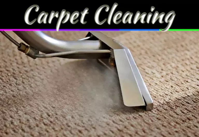 Professional Carpet Cleaning Services: 9 Smart Reasons To Hire Experts