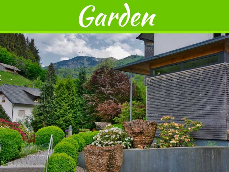 4 Lawn Alternatives For A Low-Maintenance Front Yard