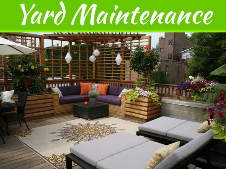 Summer's On: 4 Steps To Care For Your Yard Before You Party