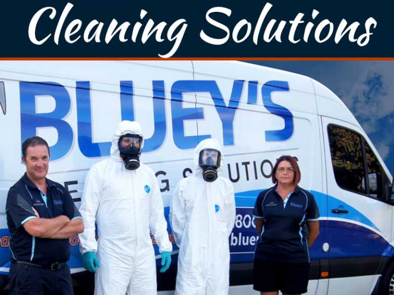 Cleaning Solutions Providers; What Services They Offer?